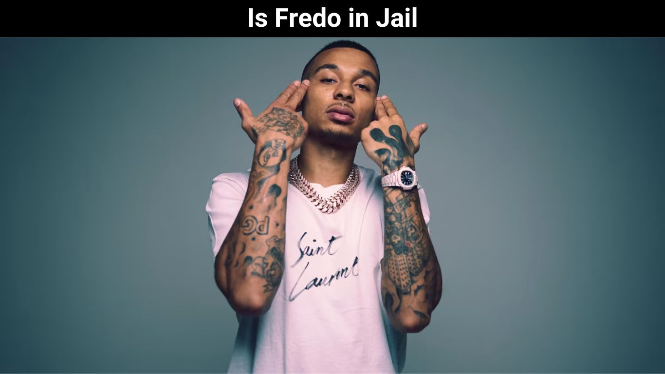 Фредо в тюрьме: почему арестовали Фредо?