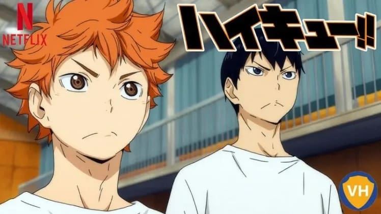 Сколько сезонов Haikyuu на Netflix