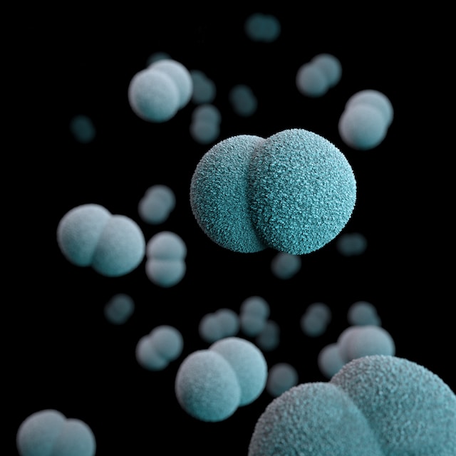 Что такое кишечные бактерии и как они влияют на ваше здоровье?